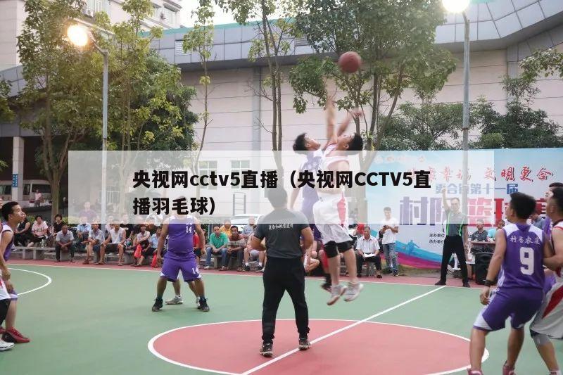 央视网cctv5直播（央视网CCTV5直播羽毛球）