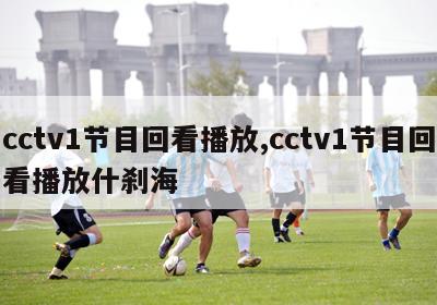 cctv1节目回看播放,cctv1节目回看播放什刹海