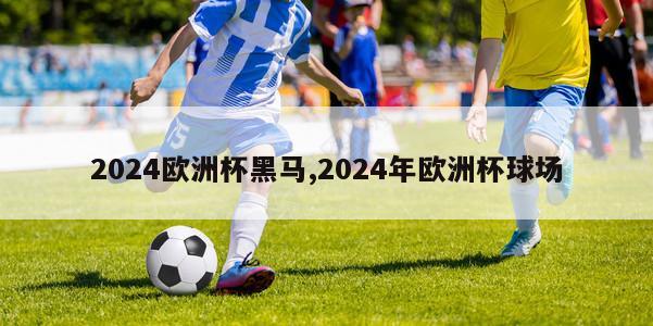 2024欧洲杯黑马,2024年欧洲杯球场