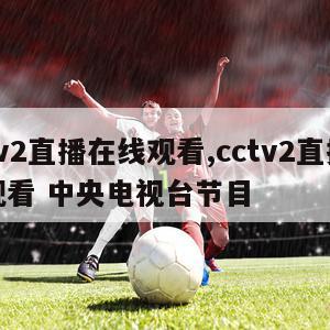 cctv2直播在线观看,cctv2直播在线观看 中央电视台节目