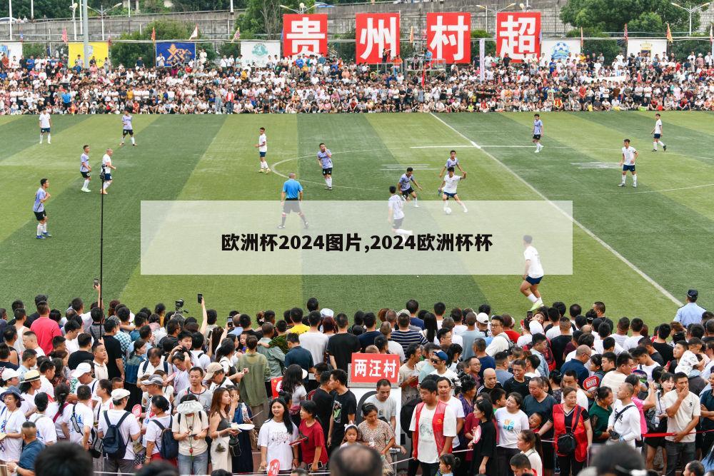 欧洲杯2024图片,2024欧洲杯杯