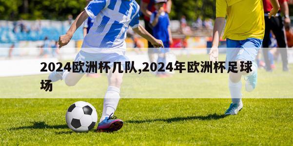 2024欧洲杯几队,2024年欧洲杯足球场